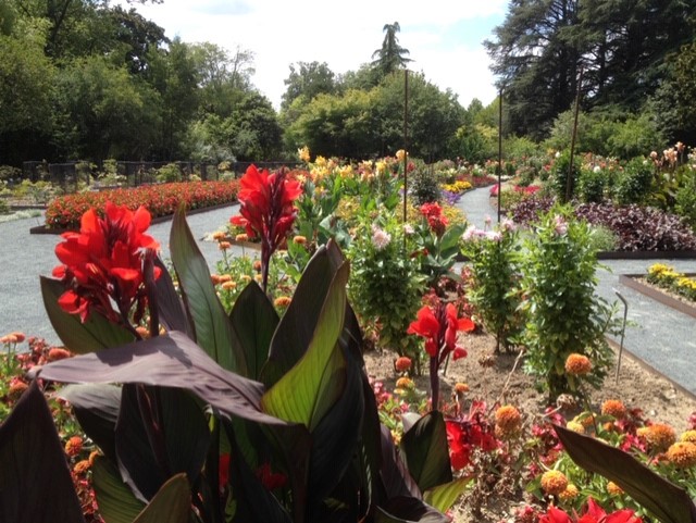 parc de la tête d'or