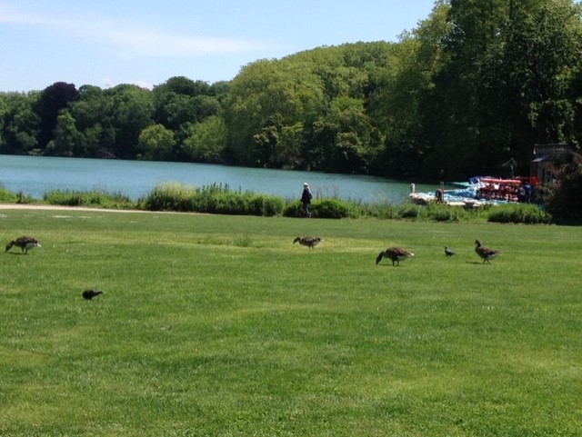 parc de la tête d'or