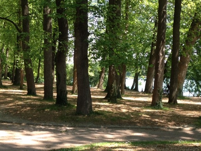 parc de la tête d'or