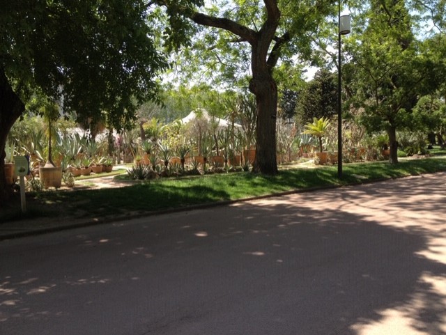 parc de la tête d'or