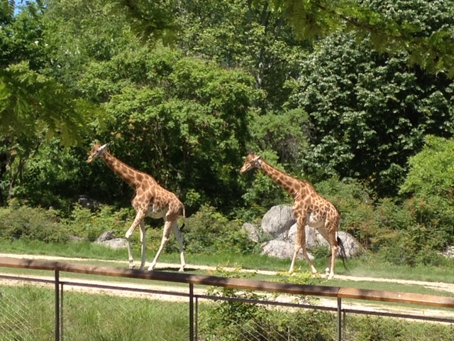 parc de la tête d'or