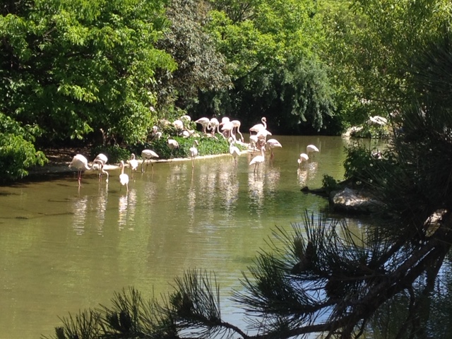parc de la tête d'or