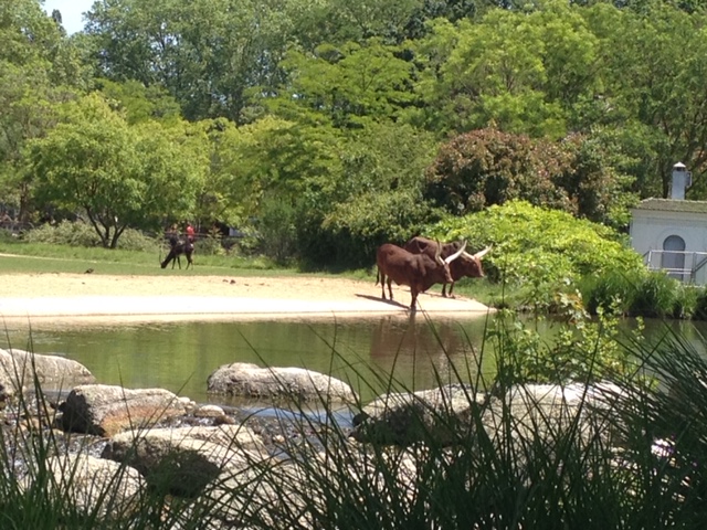 parc de la tête d'or