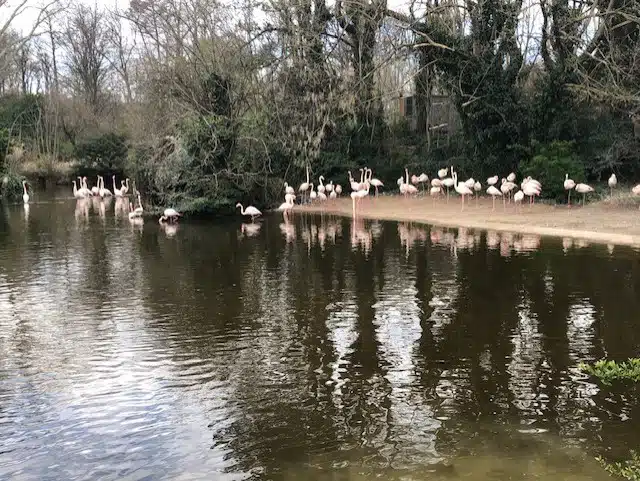 Le Zoo de Lyon, Le Parc Zoologique du Parc de la Tête d'Or