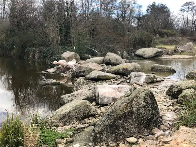 Le Zoo de Lyon, Le Parc Zoologique du Parc de la Tête d'Or