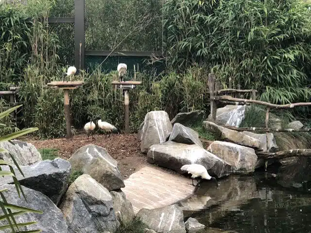 Le Zoo de Lyon, Le Parc Zoologique du Parc de la Tête d'Or
