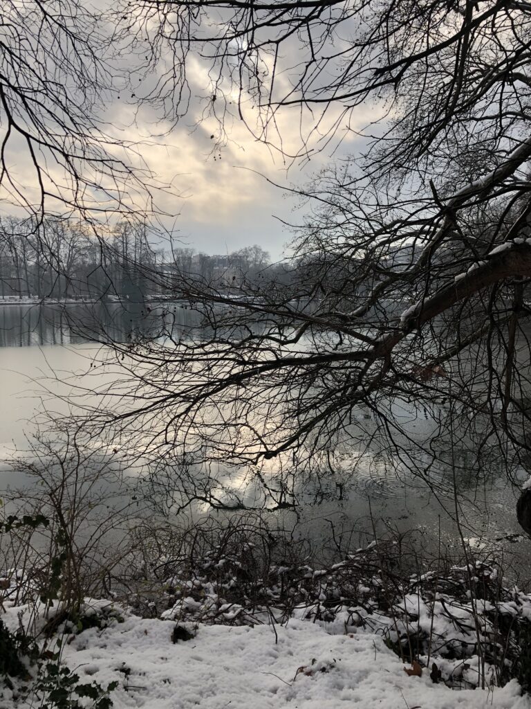parc de la tête d'or
