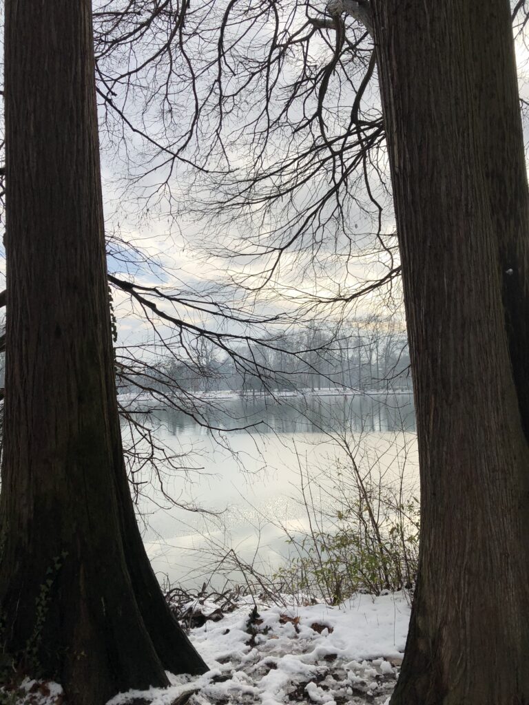 parc de la tête d'or