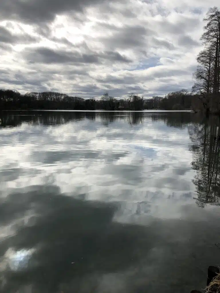 parc de la tête d'or