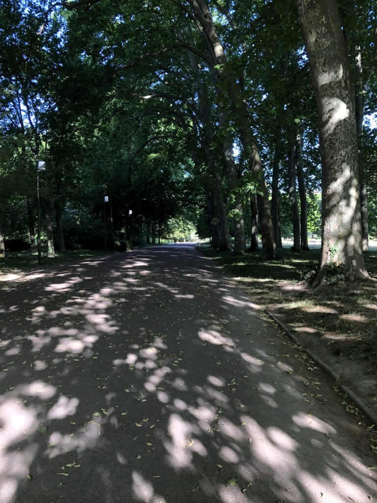 parc de la tête d'or