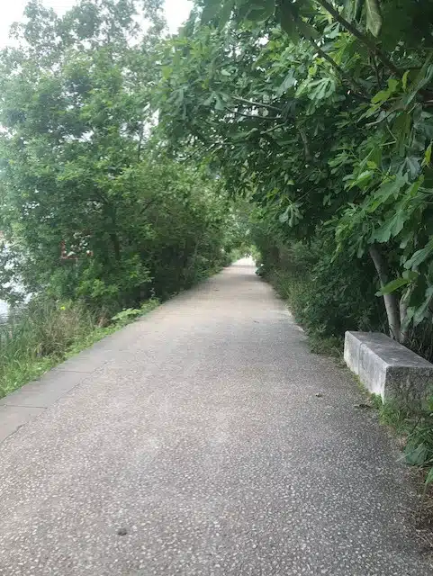 quai du rhone lyon