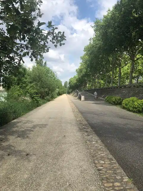 quai du rhone lyon