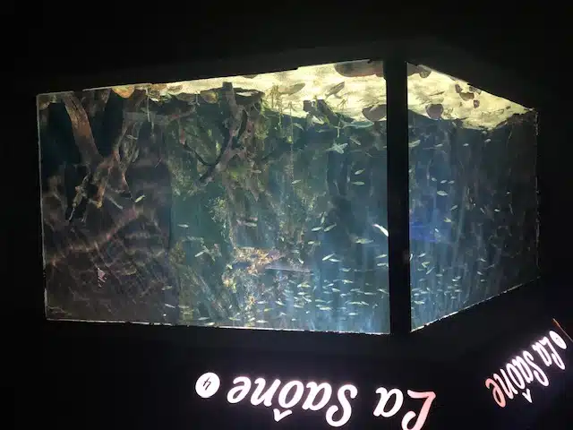 aquarium de lyon