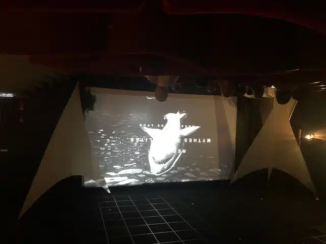 aquarium de lyon