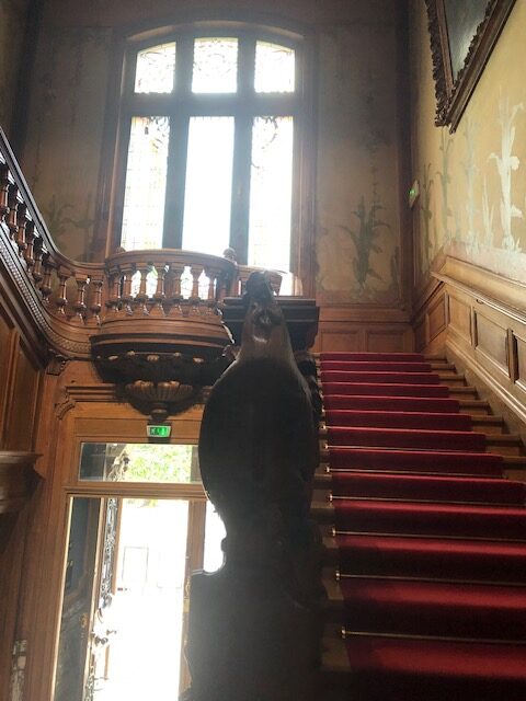 musée Lumière de Lyon montée d'escalier pour aller au 2e étage